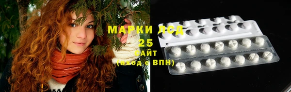 шишки Краснотурьинск