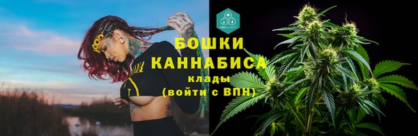 шишки Краснотурьинск