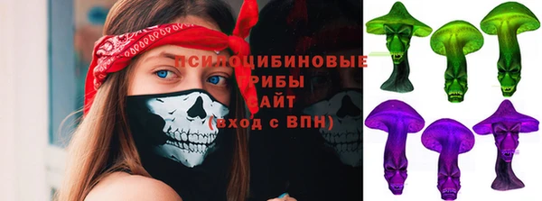 меф Коряжма