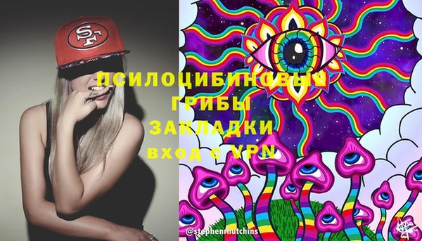 прущий лед Нестеровская