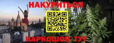 альфа пвп Заводоуковск