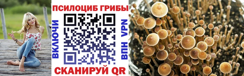 MEGA ссылки  Лангепас  Псилоцибиновые грибы Cubensis 